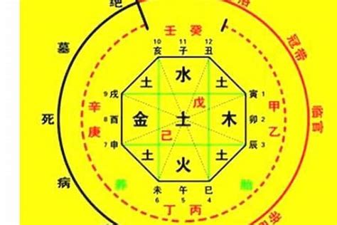 五行 屬|生辰八字算命、五行喜用神查詢（免費測算）